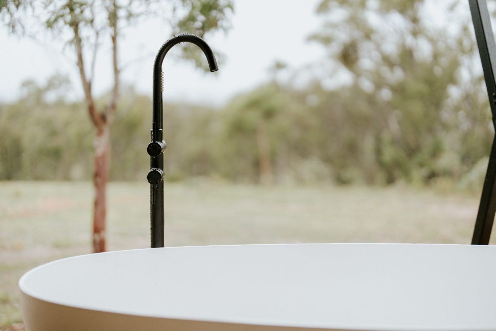 The freestanding outdoor bath among the gums