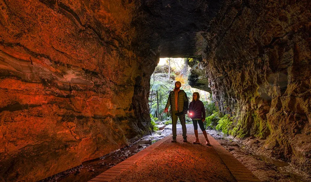 Glow Worm Tunnel