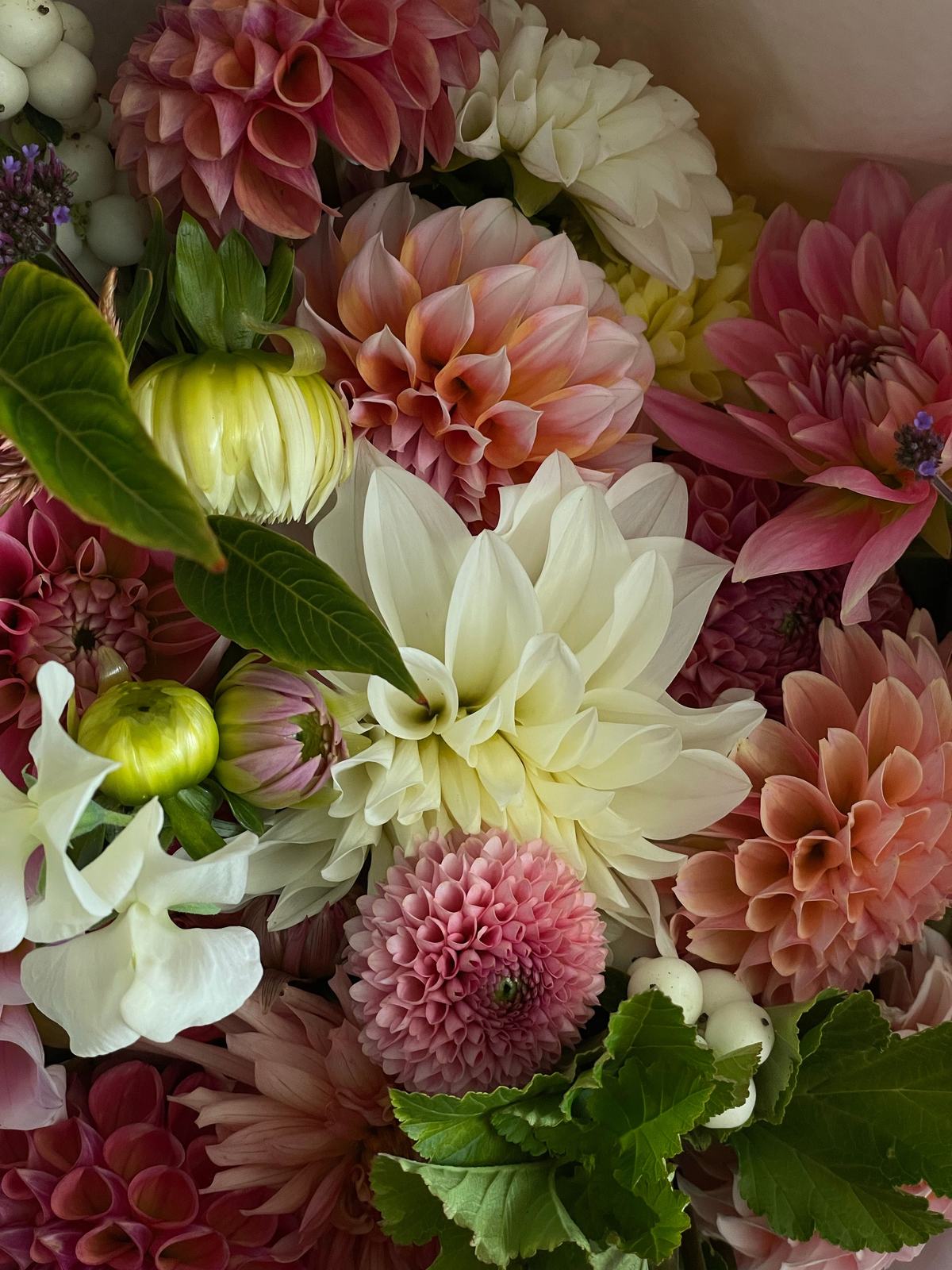 Fresh seasonal bouquet, cosmos, dahlias & garden blooms