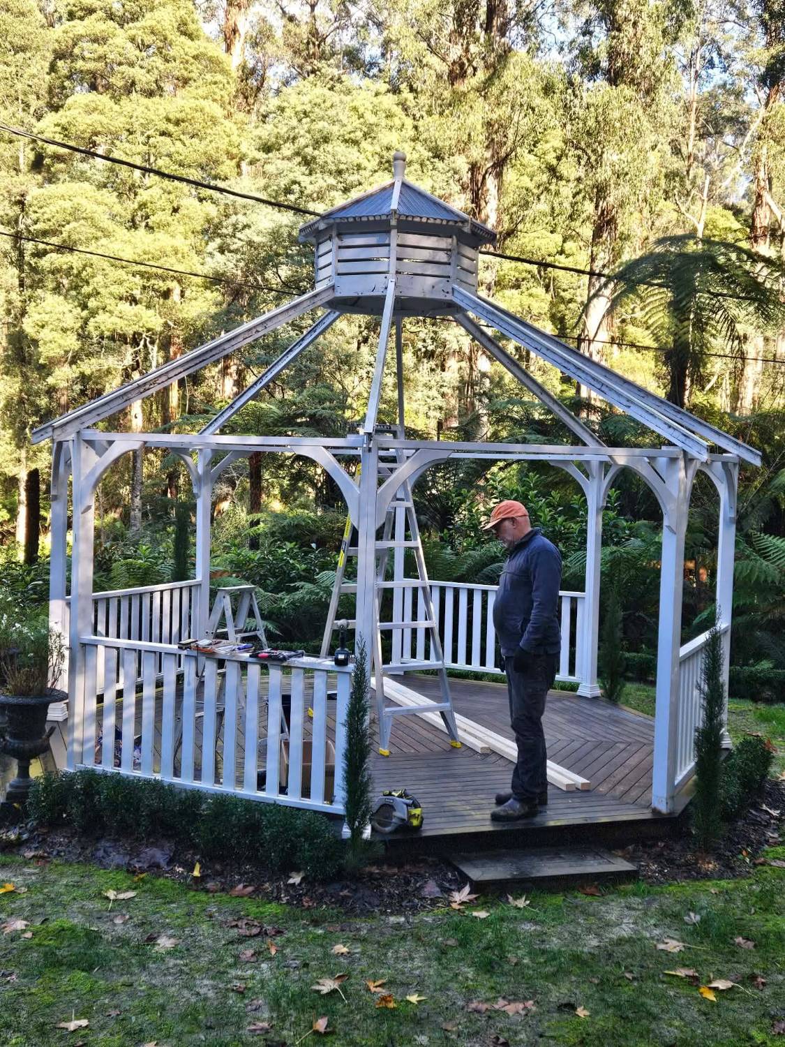 The completed white gazebo among the tree ferns
