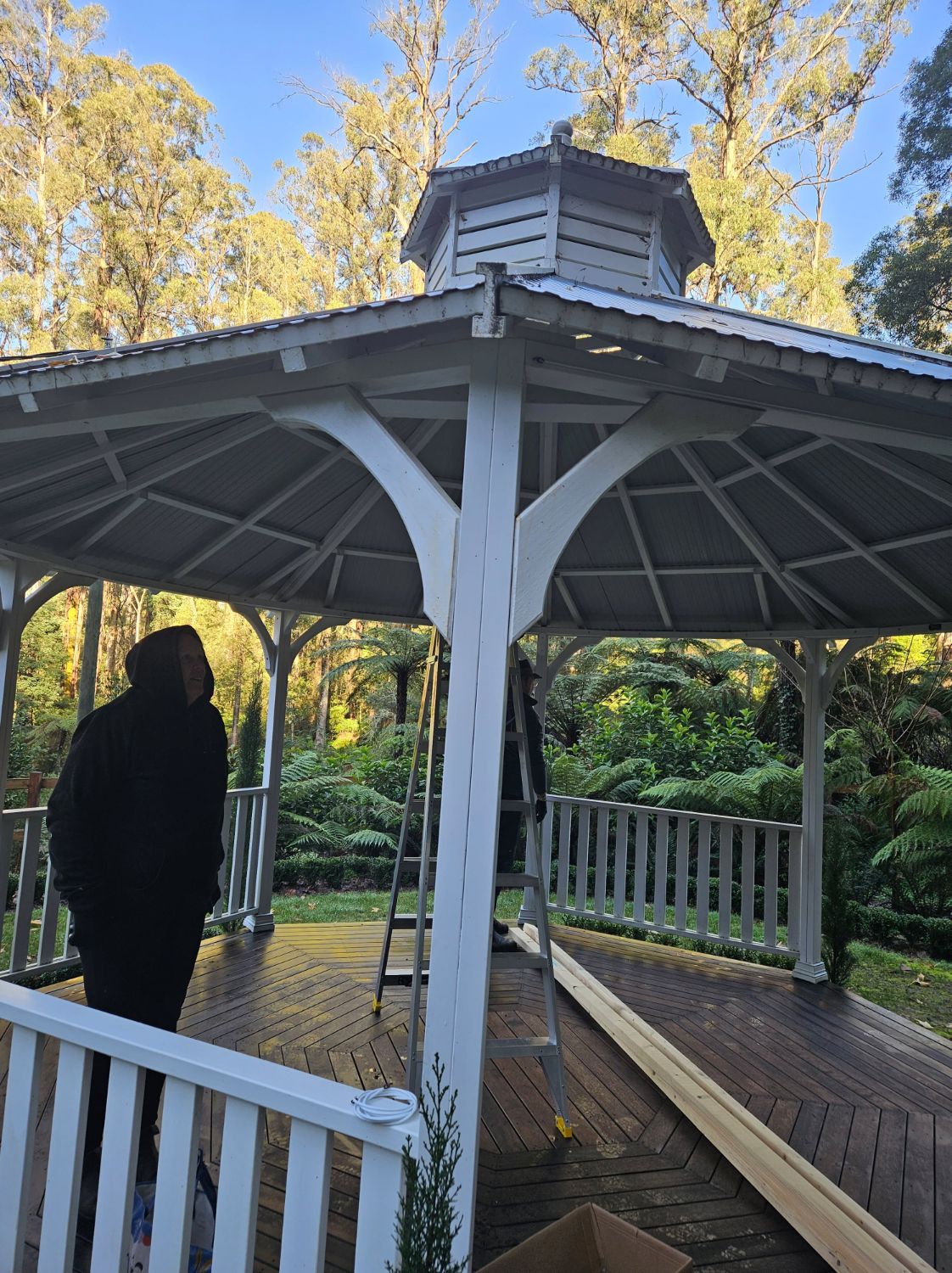 Inside the finished gazebo, framed by fern-covered bushland
